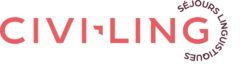 Logo de l'agence Civi Ling