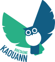 hibou vert bleu logo kaouann